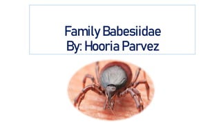 Family Babesiidae
By: Hooria Parvez
 