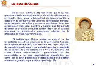 1010
La leche de QuinuaLa leche de Quinua
Mujica et al (2006, p. 21) mencionan que la quinua,
grano andino de alto valor nutritivo, de amplia adaptación en
el mundo, tiene gran potencialidad de transformación y
obtención de productos para uso en la alimentación humana,
especialmente para niños y personas que deseen tener una
alimentación más sana, nutritiva y natural, que les permita
disponer de proteína de buena calidad dado por el balance
adecuado de aminoácidos esenciales, además por la
presencia de vitaminas y minerales.
El trabajo que Mujica realizo se efectuó en los
laboratorios de nutrición humana de la Universidad Nacional
del Altiplano, UNA, PERÚ, a 3850 msnm, con la participación
de especialistas del área y con material genético procedente
de los Bancos de Germoplasma de la UNA, PUNO e INIA, los
cuales fueron seleccionados previamente por los
especialistas y por sus características agronómicas así
como por la gran posibilidad y potencialidad que podrían
tener estos genotipos para este propósito (p, 22)
 