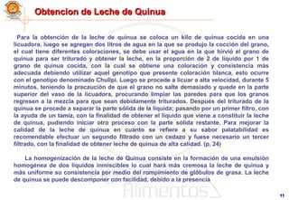 1111
Obtencion de Leche de QuinuaObtencion de Leche de Quinua
Para la obtención de la leche de quinua se coloca un kilo de quinua cocida en una
licuadora, luego se agregan dos litros de agua en la que se produjo la cocción del grano,
el cual tiene diferentes coloraciones, se debe usar el agua en la que hirvió el grano de
quinua para ser triturado y obtener la leche, en la proporción de 2 de líquido por 1 de
grano de quinua cocida, con la cual se obtiene una coloración y consistencia más
adecuada debiendo utilizar aquel genotipo que presente coloración blanca, esto ocurre
con el genotipo denominado Chullpi. Luego se procede a licuar a alta velocidad, durante 5
minutos, teniendo la precaución de que el grano no salte demasiado y quede en la parte
superior del vaso de la licuadora, procurando limpiar las paredes para que los granos
regresen a la mezcla para que sean debidamente triturados. Después del triturado de la
quinua se procede a separar la parte sólida de la líquida; pasando por un primer filtro, con
la ayuda de un tamiz, con la finalidad de obtener el líquido que viene a constituir la leche
de quinua, pudiendo iniciar otro proceso con la parte sólida restante. Para mejorar la
calidad de la leche de quinua en cuanto se refiere a su sabor palatabilidad es
recomendable efectuar un segundo filtrado con un cedazo y fuese necesario un tercer
filtrado, con la finalidad de obtener leche de quinua de alta calidad. (p, 24)
La homogenización de la leche de Quinua consiste en la formación de una emulsión
homogénea de dos líquidos inmiscibles lo cual hará más cremosa la leche de quinua y
más uniforme su consistencia por medio del rompimiento de glóbulos de grasa. La leche
de quinua se puede descomponer con facilidad, debido a la presencia
 