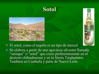 Bebidas Mexicanas Obtenidas Por FermentacióN