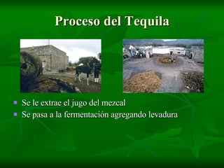 Bebidas Mexicanas Obtenidas Por FermentacióN