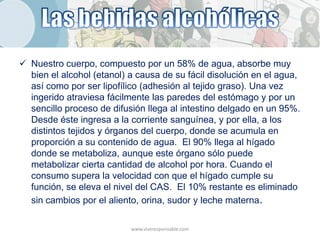  Nuestro cuerpo, compuesto por un 58% de agua, absorbe muy
  bien el alcohol (etanol) a causa de su fácil disolución en el agua,
  así como por ser lipofílico (adhesión al tejido graso). Una vez
  ingerido atraviesa fácilmente las paredes del estómago y por un
  sencillo proceso de difusión llega al intestino delgado en un 95%.
  Desde éste ingresa a la corriente sanguínea, y por ella, a los
  distintos tejidos y órganos del cuerpo, donde se acumula en
  proporción a su contenido de agua. El 90% llega al hígado
  donde se metaboliza, aunque este órgano sólo puede
  metabolizar cierta cantidad de alcohol por hora. Cuando el
  consumo supera la velocidad con que el hígado cumple su
  función, se eleva el nivel del CAS. El 10% restante es eliminado
  sin cambios por el aliento, orina, sudor y leche materna.

                           www.viveresponsable.com
 