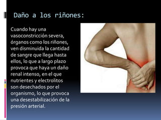 Daño a los riñones:
Cuando hay una
vasoconstricción severa,
órganos como los riñones,
ven disminuida la cantidad
de sangre que llega hasta
ellos, lo que a largo plazo
provoca que haya un daño
renal intenso, en el que
nutrientes y electrolitos
son desechados por el
organismo, lo que provoca
una desestabilización de la
presión arterial.
 