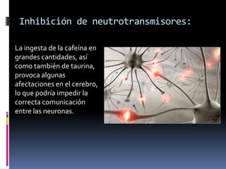 Inhibición de neutrotransmisores:
La ingesta de la cafeína en
grandes cantidades, así
como también de taurina,
provoca algunas
afectaciones en el cerebro,
lo que podría impedir la
correcta comunicación
entre las neuronas.
 