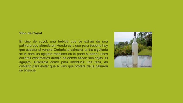 Bebidas tipicas de honduras | PPT