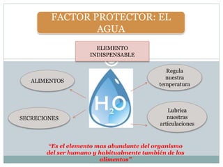 FACTOR PROTECTOR: EL
AGUA
ELEMENTO
INDISPENSABLE
ALIMENTOS
SECRECIONES
Regula
nuestra
temperatura
Lubrica
nuestras
articulaciones
“Es el elemento mas abundante del organismo
del ser humano y habitualmente también de los
alimentos”
 