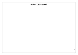 17
RELATORIO FINAL
 
