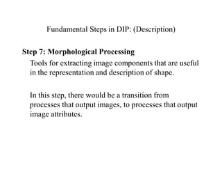 Fundamental Steps in DIP: (Description)
Step 7: Morphological Processing
Tools for extracting image components that are useful
in the representation and description of shape.
In this step, there would be a transition from
processes that output images, to processes that output
image attributes.
 
