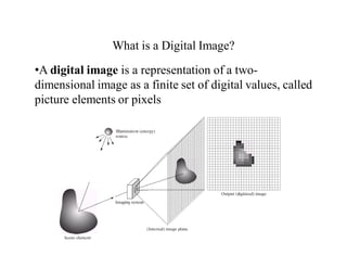 What is a Digital Image?
•A digital image is a representation of a two-
dimensional image as a finite set of digital values, called
picture elements or pixels
 