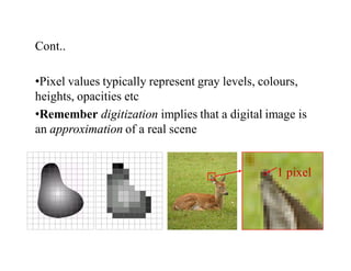 Cont..
•Pixel values typically represent gray levels, colours,
heights, opacities etc
•Remember digitization implies that a digital image is
an approximation of a real scene
1 pixel
 