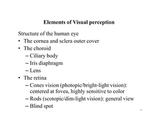 44
Elements of Visual perception
Structure of the human eye
• The cornea and sclera outer cover
• The choroid
– Ciliary body
– Iris diaphragm
– Lens
• The retina
– Cones vision (photopic/bright-light vision):
centered at fovea, highly sensitive to color
– Rods (scotopic/dim-light vision): general view
– Blind spot
 