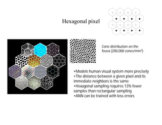 Hexagonal pixel
•Models human visual system more precisely
•The distance between a given pixel and its
immediate neighbors is the same
•Hexagonal sampling requires 13% fewer
samples than rectangular sampling
•ANN can be trained with less errors
Cone distribution on the
fovea (200,000 cones/mm2)
 