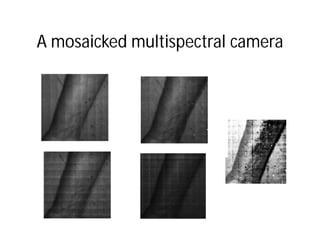 A mosaicked multispectral camera
 