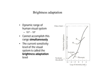 50
Brightness adaptation
• Dynamic range of
human visual system
– 10-6 ~ 104
• Cannot accomplish this
range simultaneously
• The current sensitivity
level of the visual
system is called the
brightness adaptation
level
 