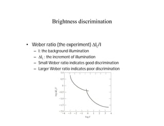 Brightness discrimination
• Weber ratio (the experiment) DIc/I
– I: the background illumination
– DIc : the increment of illumination
– Small Weber ratio indicates good discrimination
– Larger Weber ratio indicates poor discrimination
 