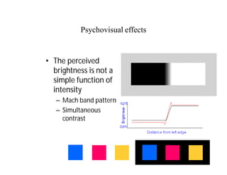 52
Psychovisual effects
• The perceived
brightness is not a
simple function of
intensity
– Mach band pattern
– Simultaneous
contrast
 