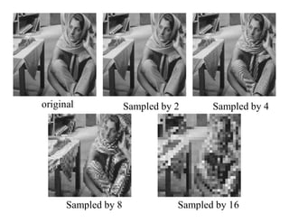 original Sampled by 2 Sampled by 4
Sampled by 8 Sampled by 16
 