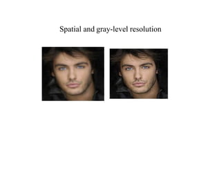 Spatial and gray-level resolution
 