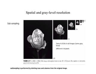 Spatial and gray-level resolution
subSampling is performed by deleting rows and columns from the original image.
Same # of bits in all images (same gray
level)
different # of pixels
Sub sampling
 