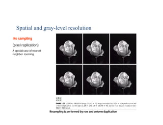 Spatial and gray-level resolution
Resampling is performed by row and column duplication
Re sampling
(pixel replication)
A special case of nearest
neighbor zooming.
 