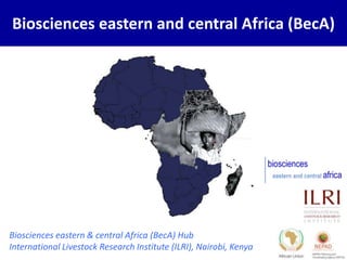 Biosciences eastern and central Africa (BecA)




Biosciences eastern & central Africa (BecA) Hub
International Livestock Research Institute (ILRI), Nairobi, Kenya
 