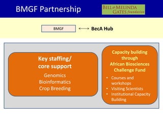 BecA hub research, facilities, and capacity building