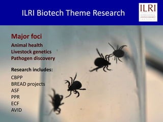 BecA hub research, facilities, and capacity building