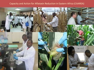 BecA hub research, facilities, and capacity building