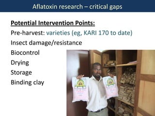 BecA hub research, facilities, and capacity building