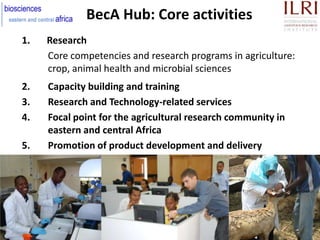 BecA Hub: Core activities
1.   Research
     Core competencies and research programs in agriculture:
     crop, animal hea...
