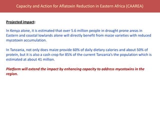 BecA hub research, facilities, and capacity building