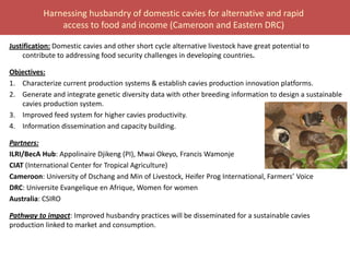 BecA hub research, facilities, and capacity building