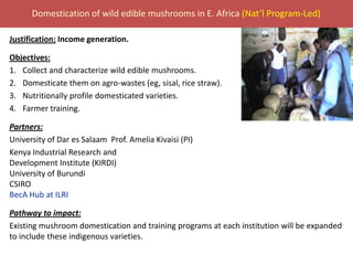 BecA hub research, facilities, and capacity building