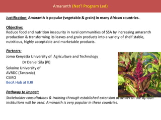 BecA hub research, facilities, and capacity building