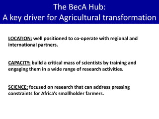 BecA Hub: Core activities



1.   Research

2.   Research-related services
3.   Capacity building and training
4.   Focal ...