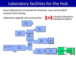 BecA hub research, facilities, and capacity building