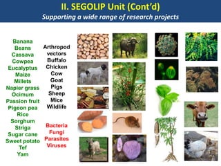 BecA hub research, facilities, and capacity building