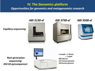 BecA hub research, facilities, and capacity building