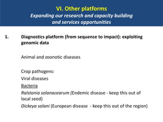 BecA hub research, facilities, and capacity building