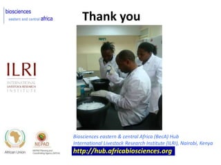 BecA hub research, facilities, and capacity building