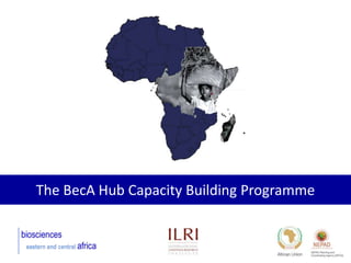 BecA hub research, facilities, and capacity building