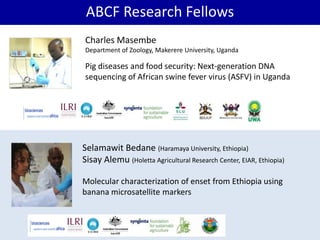 BecA hub research, facilities, and capacity building