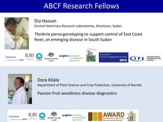 BecA hub research, facilities, and capacity building