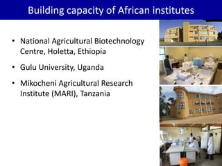 BecA hub research, facilities, and capacity building