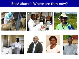 BecA hub research, facilities, and capacity building