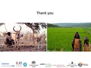 BecA hub research, facilities, and capacity building