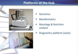 BecA-ILRI Hub: Building bioscience technology platforms for Africa’s development