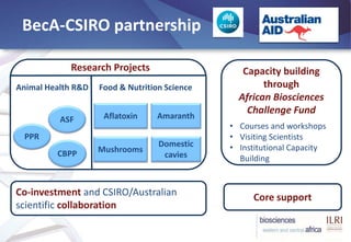 BecA-ILRI Hub: Mobilizing biosciences for Africa’s development