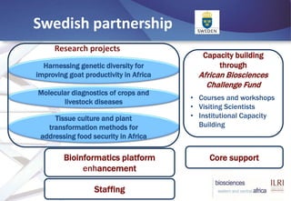 BecA-ILRI Hub: Mobilizing biosciences for Africa’s development