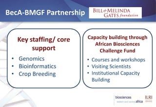 BecA-ILRI Hub: Mobilizing biosciences for Africa’s development